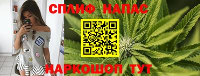 гидра Можайск